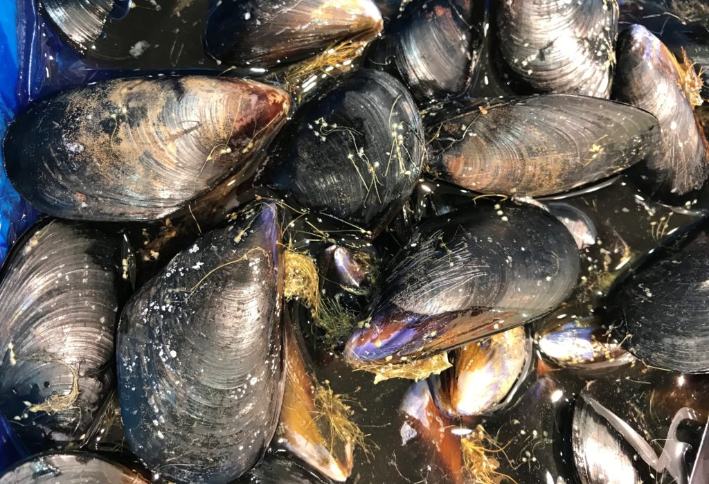 貝 ムール貝 ムラサキイガイ の旬はいつ 日本の産地はどこ おいしい食べ方は