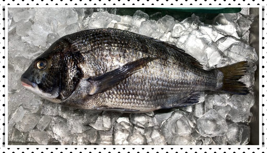 黒鯛の旬はいつですか？