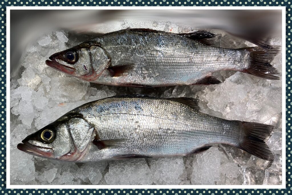 魚 ヒラスズキ 平鱸 はとてもおいしい魚 主な産地や旬はいつ