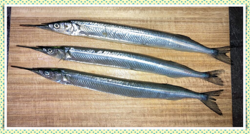 魚 サヨリはとてもおいしい魚 旬はいつ おいしい食べ方は